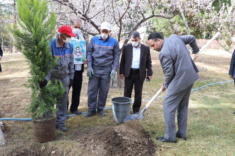 کاشت ۱۰ اصله نهال سرو به یاد ۱۰ شهید سروقامت آبفای استان اصفهان