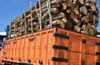 کشف ۴۰۰ کیلو چوب طاق قاچاق در اصفهان