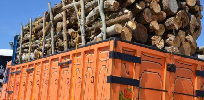کشف ۴۰۰ کیلو چوب طاق قاچاق در اصفهان