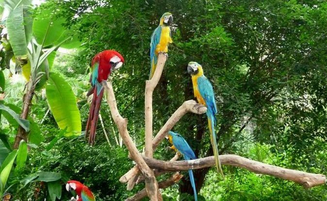 برگزاری نشست تخصصی مدیران باغهای پرندگان کشور در اصفهان
