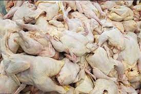 صادرات ۵ محموله گوشت مرغ