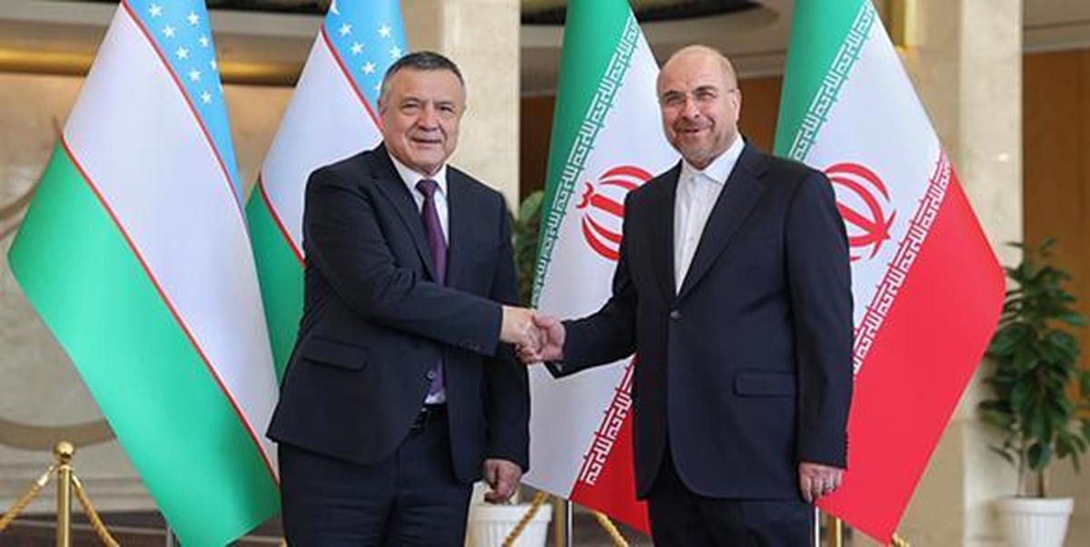 رئیس مجلس ازبکستان با رئیس مجلس دیدار کرد رئیس مجلس ازبکستان با رئیس مجلس دیدار کرد