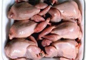 کشف ۲۴۰ قطعه گوشت بلدر چین غیر بهداشتی در اصفهان