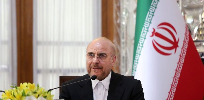 نایب رئیس مجلس عراق با رئیس مجلس شورای اسلامی دیدار و گفت وگو کرد