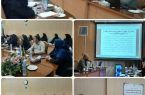 برگزاری کارگاه آموزشی آسیب های نوپدید در بهزیستی اصفهان