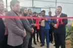 افتتاح گلخانه ۹ هزار متر مربع در شهرستان دهاقان