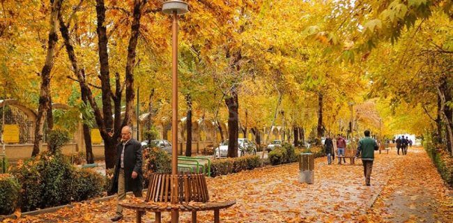 برگ‌های پاییزی درختان چهارباغ اصفهان جمع آوری نمی‌شود