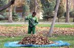 جمع آوری ۲ هزار تن برگ پاییزی در اصفهان