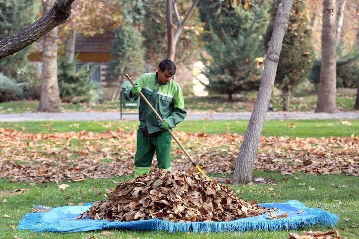 جمع آوری ۲ هزار تن برگ پاییزی در اصفهان