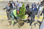کاشت ۳۱ درخت در سی و یکمین سال فعالیت نمایشگاه اصفهان