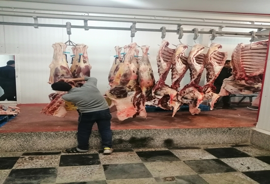 معدوم سازی ۱۱ لاشه گوسفندی غیر قابل مصرف درشهرستان نجف آباد