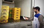 ممیزی بیش از ۱۸۰ خودروی حمل فرآورده های خام دامی در شهرستان نجف آباد