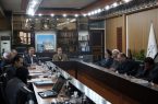 لزوم کاهش معلولیت با همکاری کارگروه جوانی جمعیت