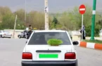 ممنوعیت گذاشتن سبزه روی خودرو در روز طبیعت
