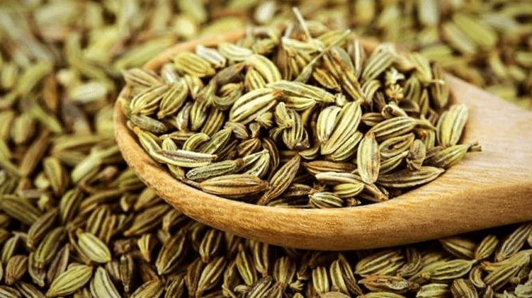 زیره، نگهدارنده طبیعی غذا و امید درمان سرطان