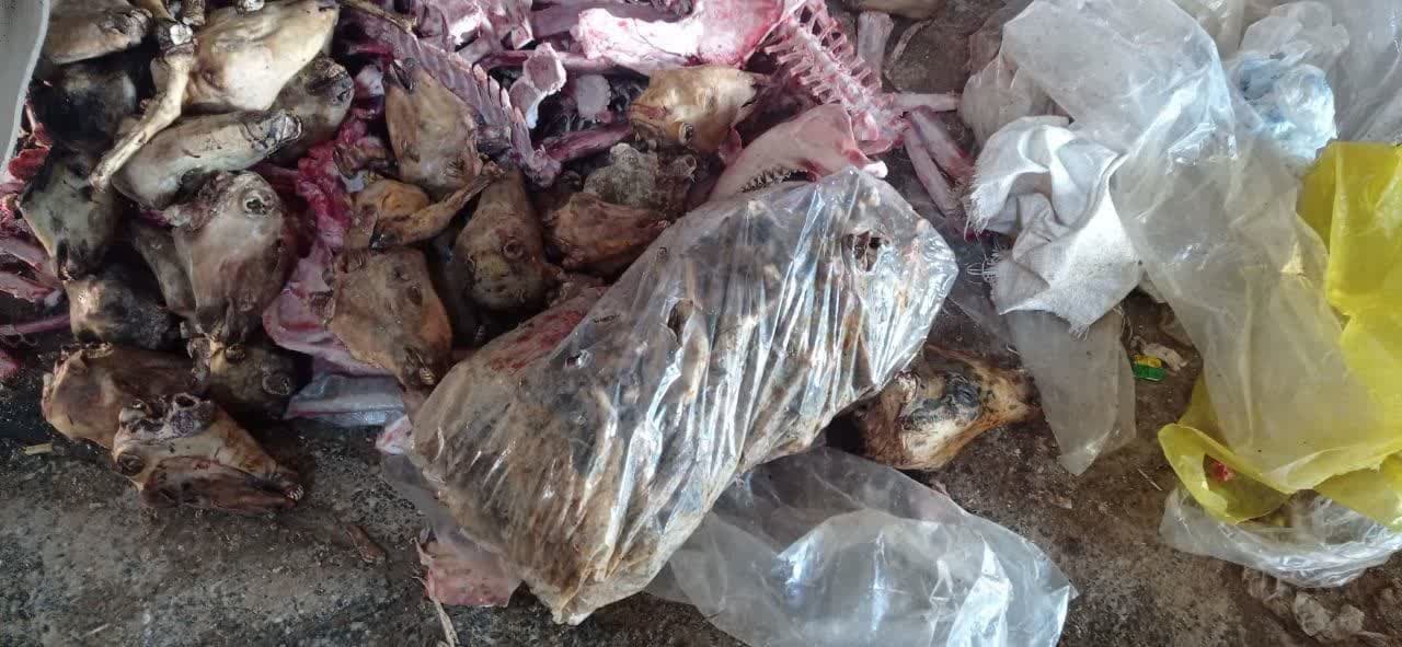 معدومسازی یک تن کله پاچه فاسد در شهرستان خمینیشهر معدومسازی یک تن کله پاچه فاسد در شهرستان خمینیشهر