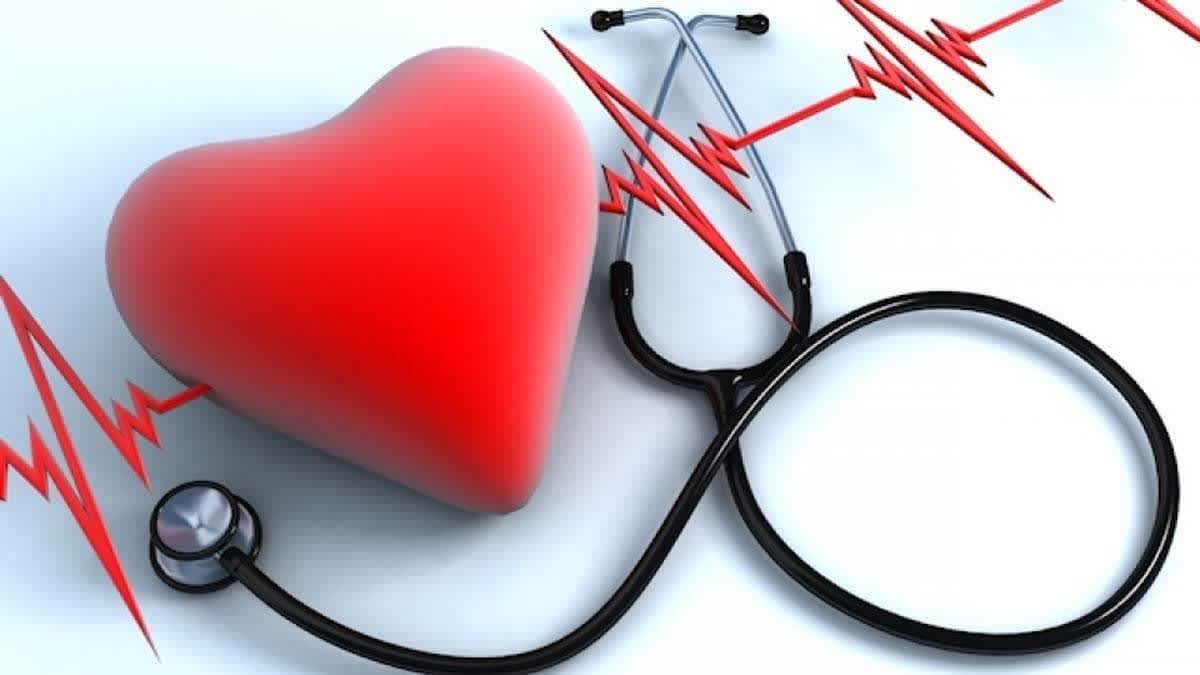 توصیه‌های طب ایرانی برای تقویت قلب