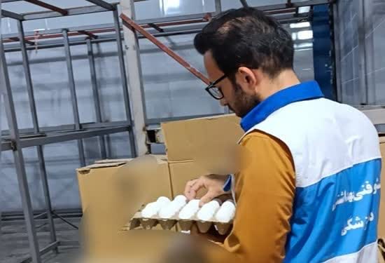 کشف و معدوم سازی بیش از ۳ هزار کیلو تخم مرغ غیر قابل مصرف در شهرستان نجف آباد