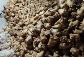 کشف ۱۰ تن کلهپاچه غیر بهداشتی از انبار غیرمجاز درمنطقه ملکشهر