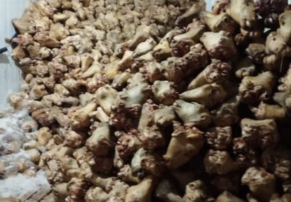 کشف ۱۰ تن کلهپاچه غیر بهداشتی از انبار غیرمجاز درمنطقه ملکشهر