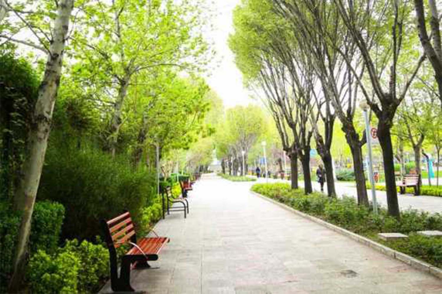 افق ۱۴۱۰ فضای سبز اصفهان ترسیم شد