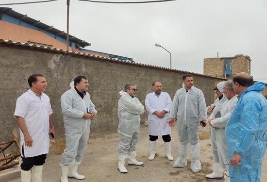 بازدید مدیر کل دامپزشکی استان اصفهان از کشتارگاه دام حبیب آباد شهرستان برخوار