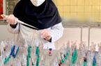 پایش بیماری بروسلوز در ۲۴ هزار رأس دام سنگین شهرستان نجف آباد