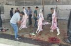 ذبح بیش از ۶۰۰ راس گوسفند و گوساله در قربانگاه های کمیته امداد استان اصفهان