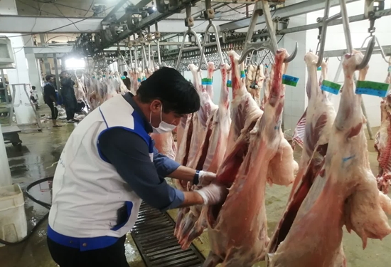 بیش از ۵ هزار رأس دام قربانی در استان اصفهان تحت نظارت بهداشتی قرار گرفت