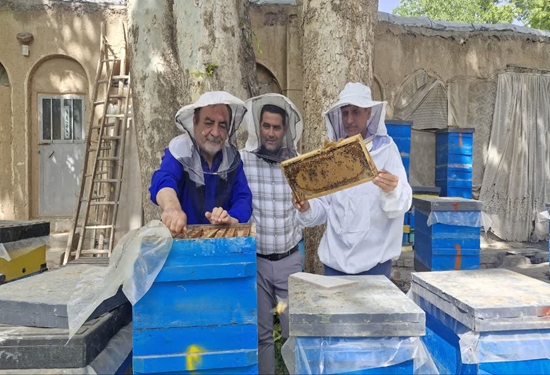 نظارت و پایش بهداشتی زنجیره تولید آبزیان، زنبور عسل و کرم ابریشم در شهرستان نطنز