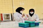 پایش بیماری بروسلوز در بیش از 7 هزار رأس دام سبک و سنگین شهرستان نجف آباد پایش بیماری بروسلوز در بیش از ۷ هزار رأس دام سبک و سنگین شهرستان نجف آباد