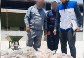 شماسایی و پلمب یک سردخانه غیرمجاز به همراه محموله کله‌پاچه فاسد در نجف‌آباد