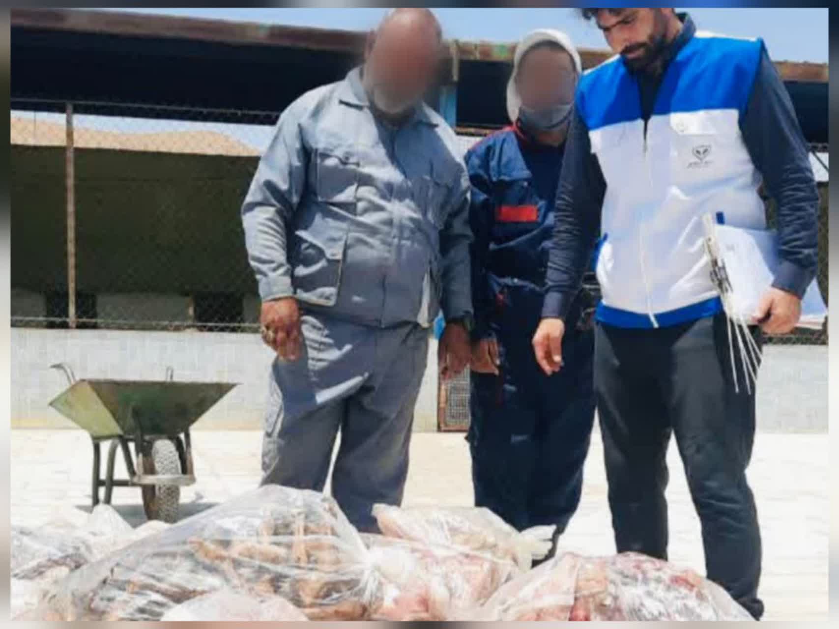شماسایی و پلمب یک سردخانه غیرمجاز به همراه محموله کله‌پاچه فاسد در نجف‌آباد