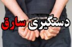 دستگیری سارق زورگیر ساختمان های نیمه کاره در شاهین شهر دستگیری سارق زورگیر ساختمان های نیمه کاره در شاهین شهر
