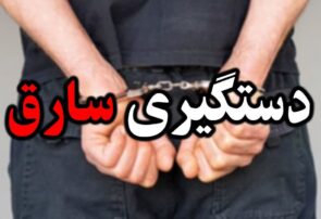 دستگیری سارق زورگیر ساختمان های نیمه کاره در شاهین شهر