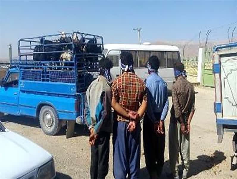 دستگیری ۴ سارق احشام و کشف ۳۲ راس گوسفند مسروقه درسمیرم