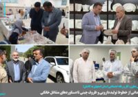 بازدید میدانی از خطوط تولید دارویی و ظروف چینی تا دستاوردهای مشاغل خانگی