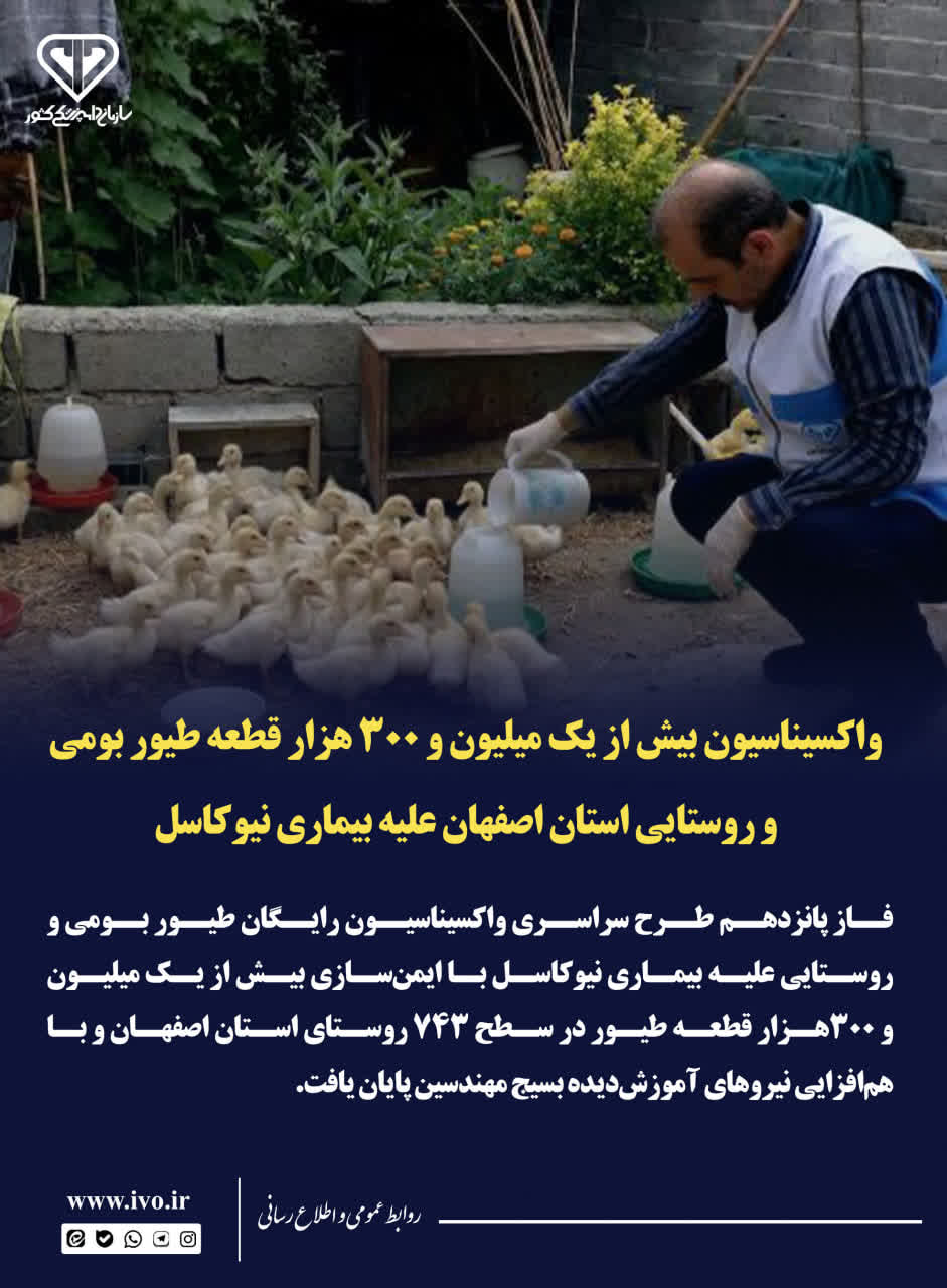 واکسیناسیون نزدیک به یک میلیون و 380 هزار قطعه طیور بومی و روستایی استان اصفهان علیه بیماری نیوکاسل واکسیناسیون نزدیک به یک میلیون و ۳۸۰ هزار قطعه طیور بومی و روستایی استان اصفهان علیه بیماری نیوکاسل