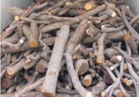 کشف ۴۰۰ کیلو چوب قاچاق در نجف‌آباد