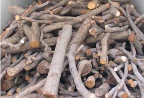کشف ۴۰۰ کیلو چوب قاچاق در نجفآباد