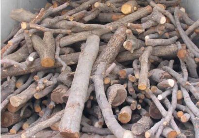کشف ۴۰۰ کیلو چوب قاچاق در نجفآباد