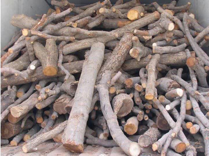 کشف 400 کيلو چوب قاچاق در نجفآباد کشف ۴۰۰ کیلو چوب قاچاق در نجفآباد